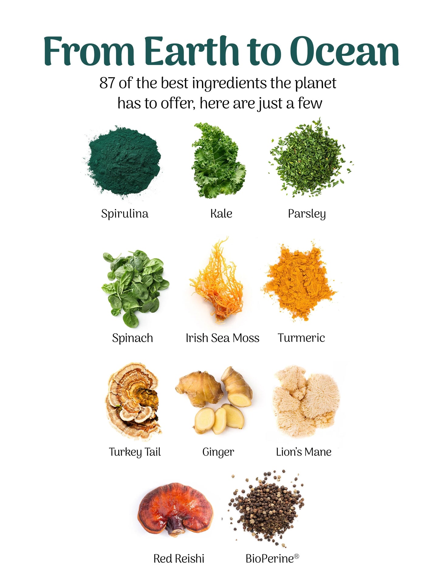Daily Foundational Nutrition